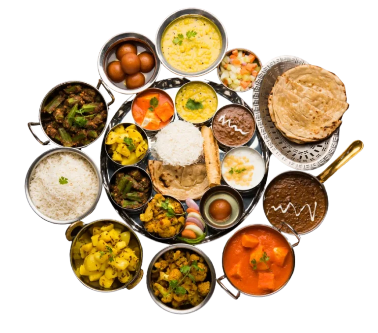 Non Veg Tiffin Service